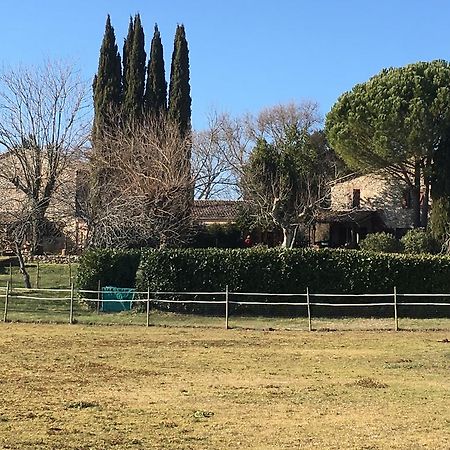Podere Conte Racani Amelia Exterior photo