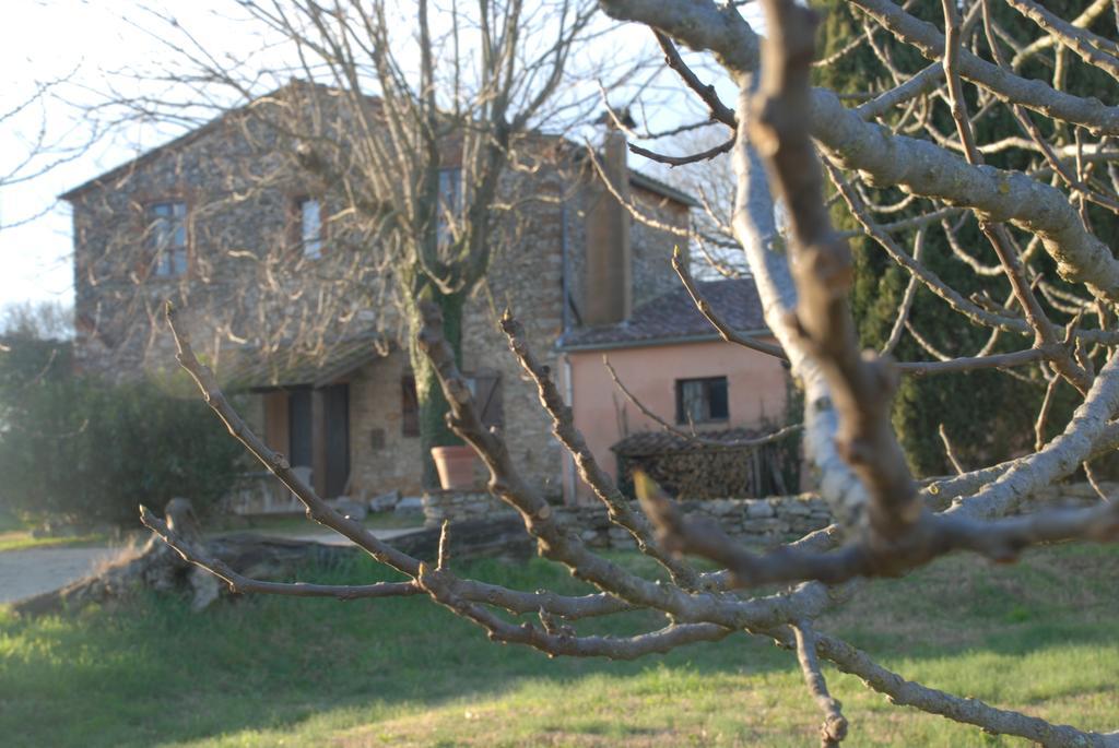Podere Conte Racani Amelia Exterior photo
