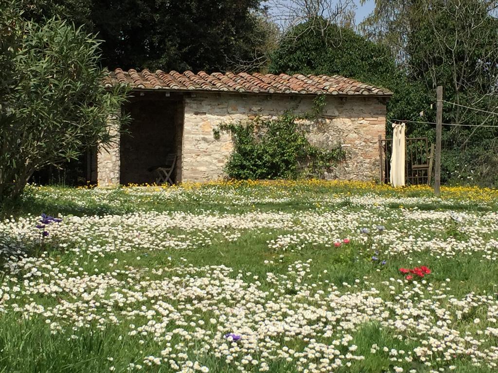 Podere Conte Racani Amelia Exterior photo
