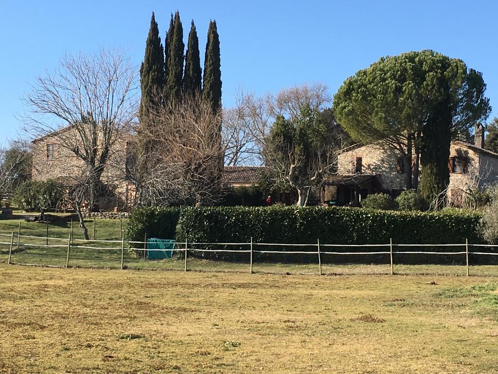 Podere Conte Racani Amelia Exterior photo