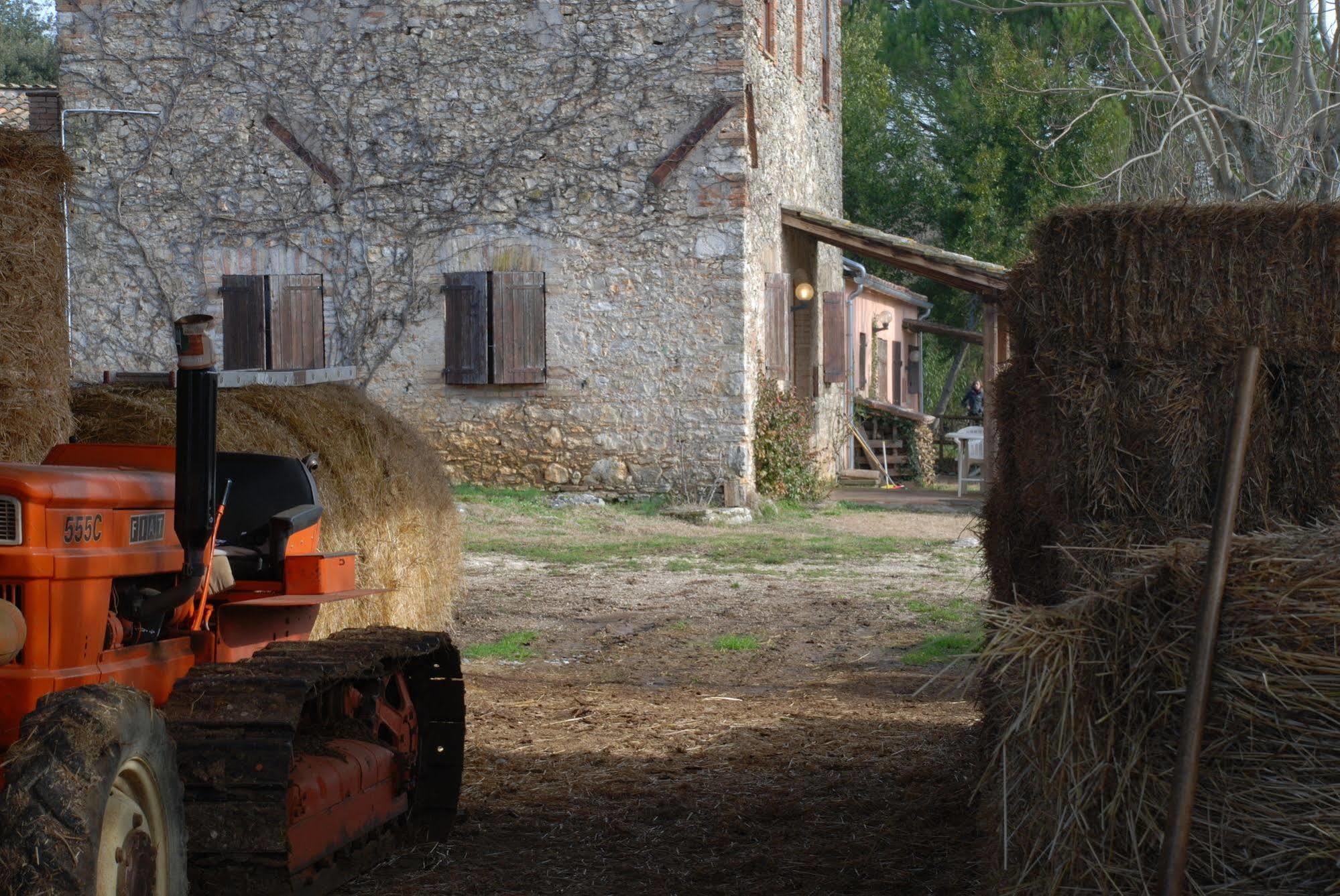 Podere Conte Racani Amelia Exterior photo