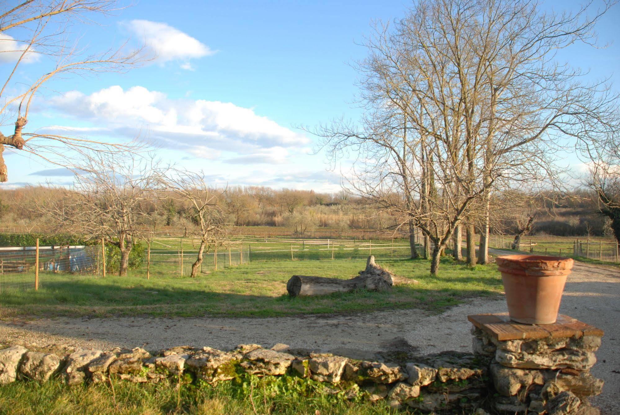 Podere Conte Racani Amelia Exterior photo